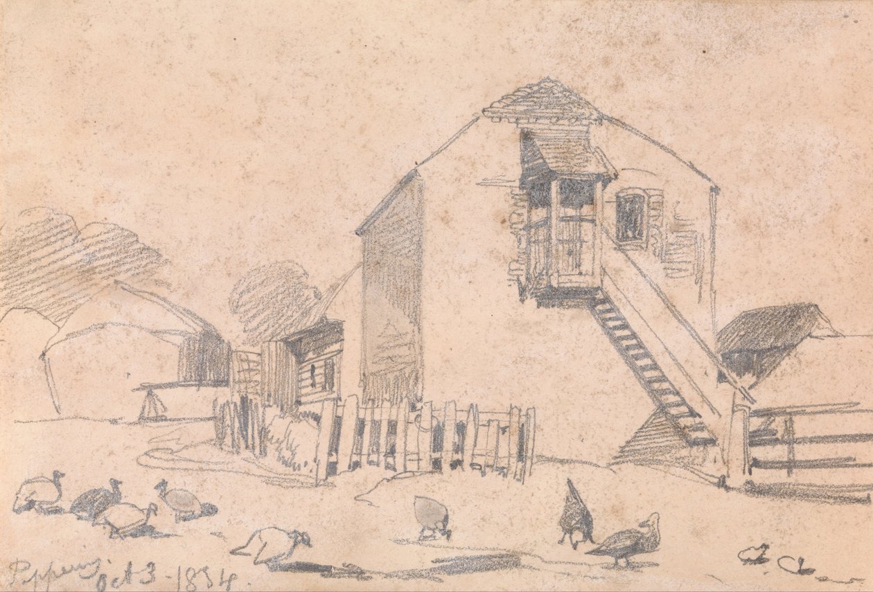 胡椒，1834 年 10 月 3 日 作者 爱德华·李尔