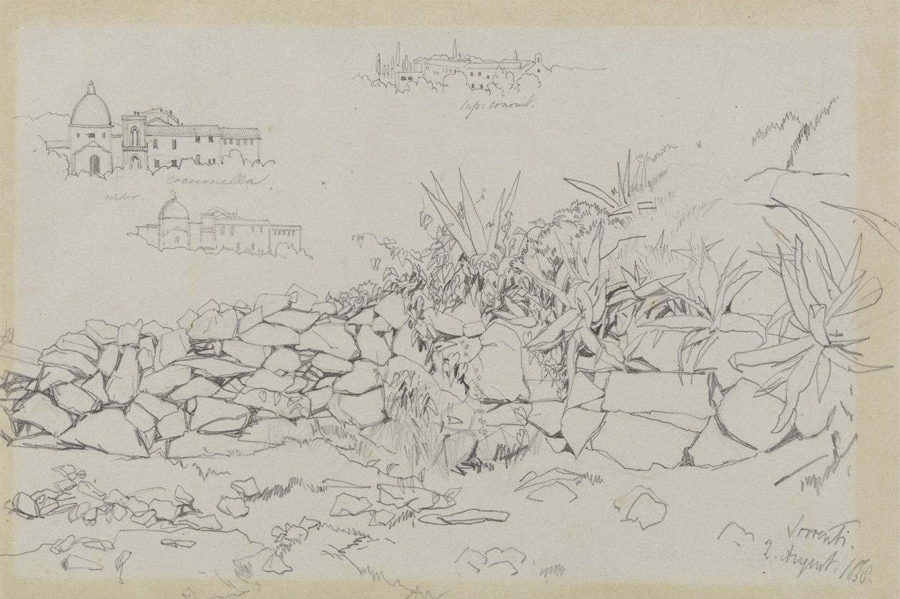 索伦托，1838年8月2日（灰色编织纸上的石墨） 作者 爱德华·李尔