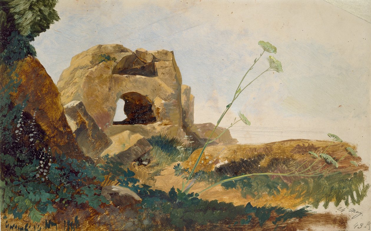 岩石和树叶研究，西西里岛阿格里琴托的Girgenti，1847年 作者 爱德华·李尔