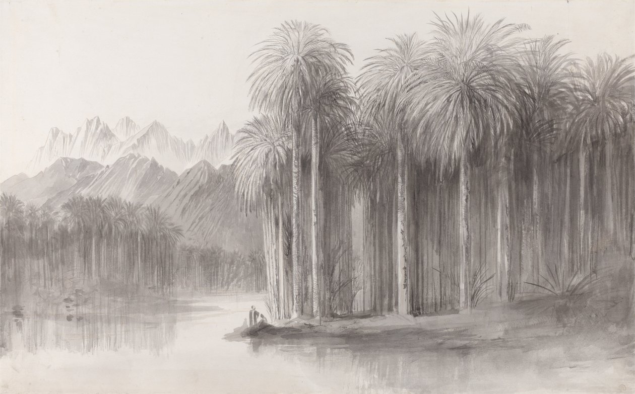 Wady Feiran，西奈山半岛 作者 爱德华·李尔