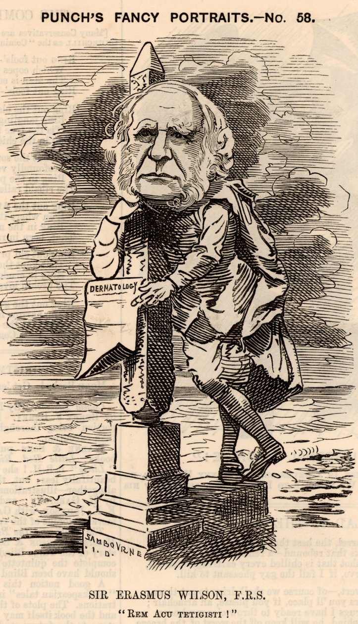 Erasmus Wilson (1809-1884) 作者 爱德华·林利·桑伯恩