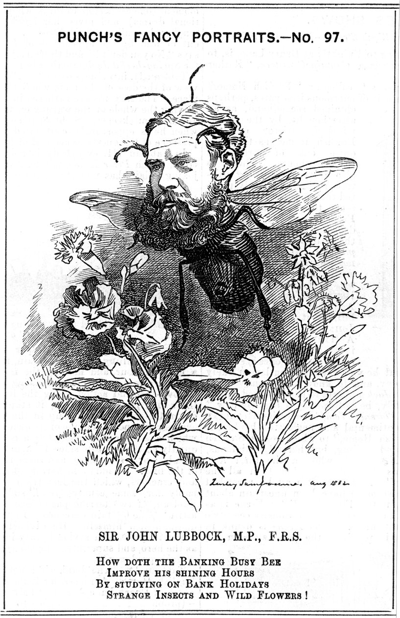 约翰·卢伯克（John Lubbock），第一任埃夫伯里男爵，英国银行家，考古学家，博物学家和政治家，1882年 作者 爱德华·林利·桑伯恩