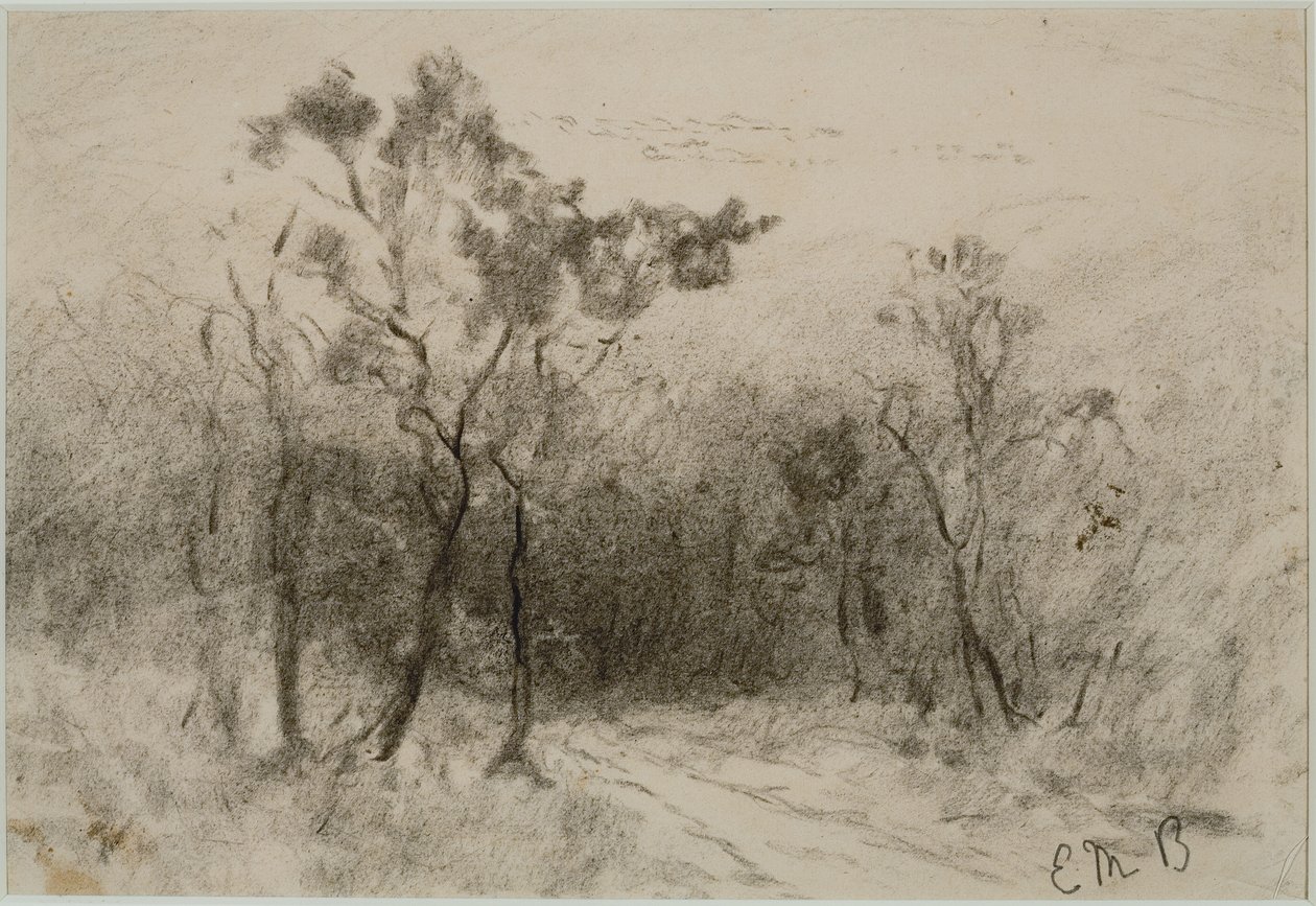 风景与路径（＃51），c。 1880年代（木炭纸本） 作者 爱德华·米切尔·班尼斯特