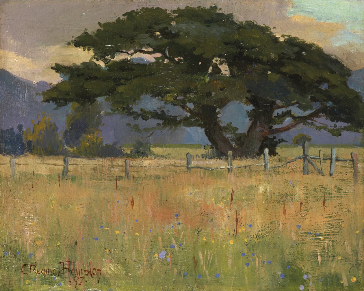 山下的草地，1897年 作者 爱德华·雷金纳德·弗兰普顿