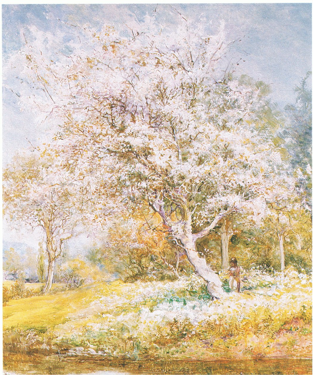 采集鲜花，来自杂志或书籍，来源不明（彩色平版印刷） 作者 爱德华·塞缪尔·哈珀