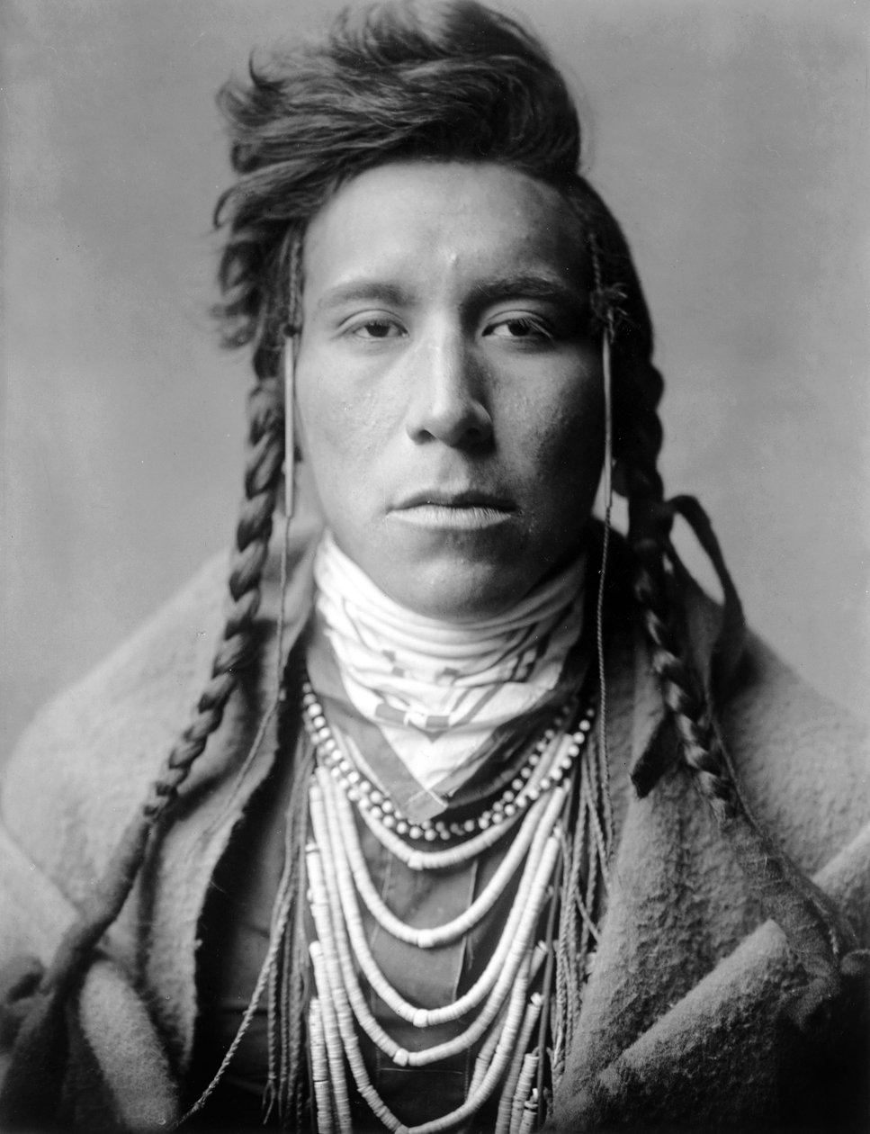 高地上的鸟，美国蒙大拿州乌鸦印第安人，约 1908 年，照片：Edward S. Curtis 作者 爱德华警长柯蒂斯
