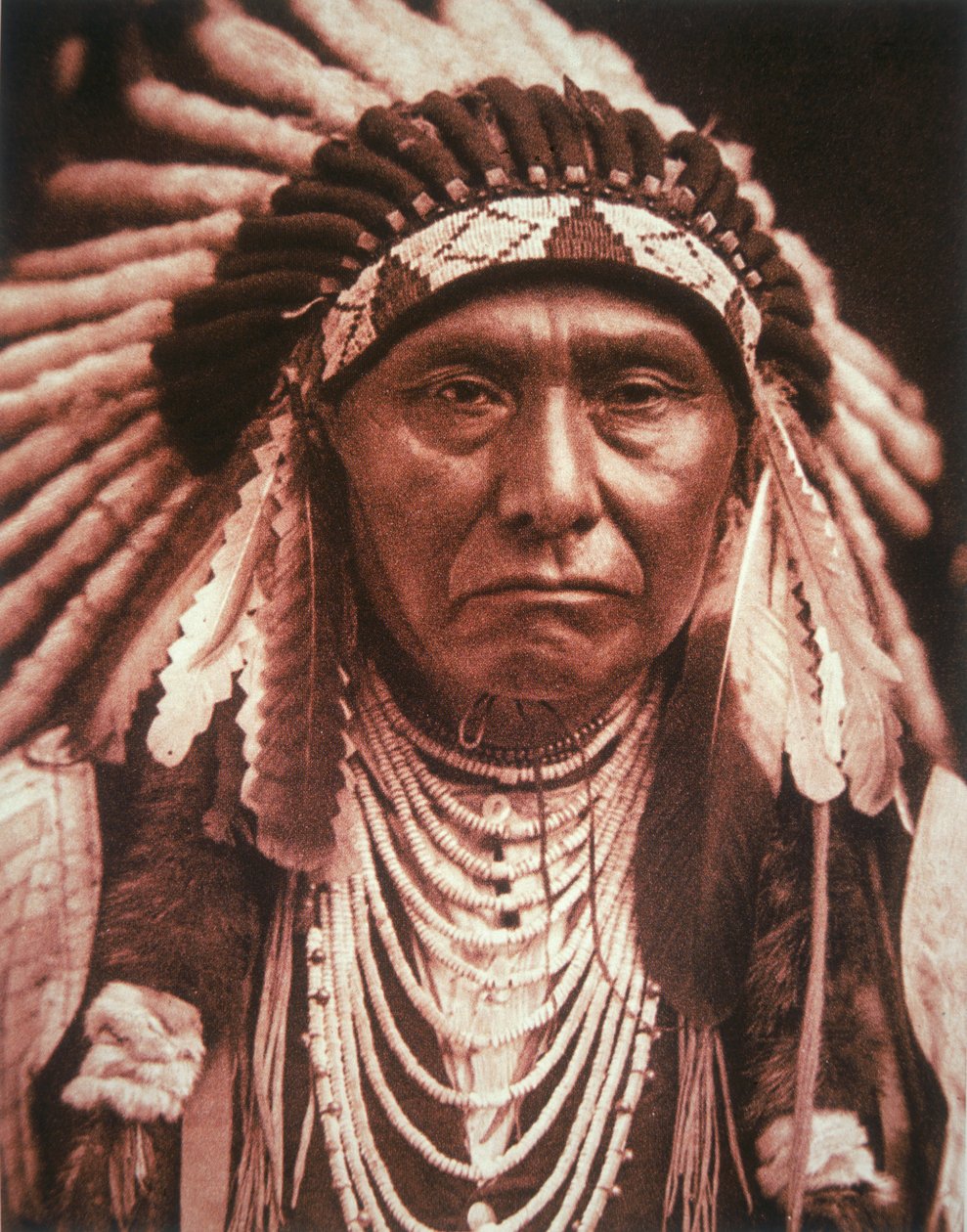 约瑟夫酋长（1840-1904），约 1903 年（黑白照片） 作者 爱德华警长柯蒂斯