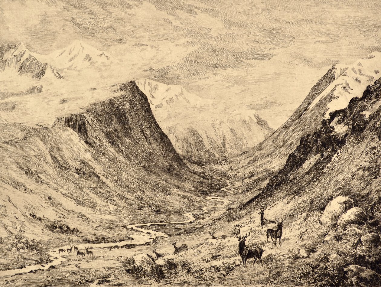 高地迪伊：Garchary 和 Larig Burns 的会面，c.1880（蚀刻） 作者 爱德华·斯洛姆贝