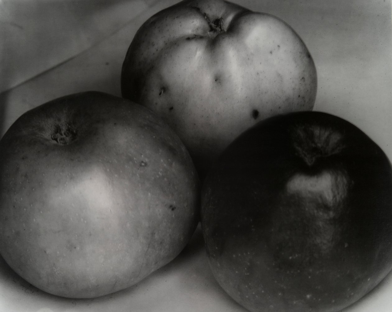 三个苹果，法国，约 1921 年 作者 爱德华·史提琴（Edward Steichen）