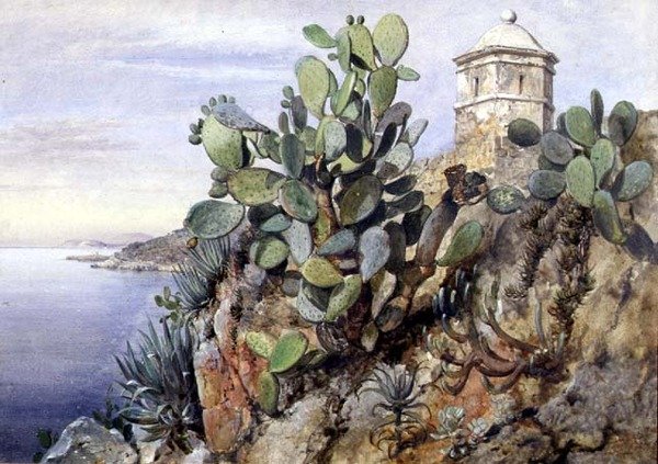 仙人掌Opuntia, 摩纳哥 作者 爱德华·威廉·库克