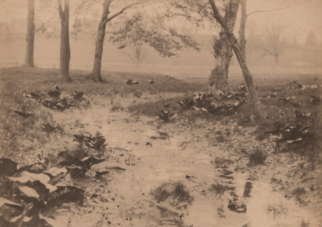 春天的风景，1890 年代（照片） 作者 爱德华·威利斯·雷德菲尔德