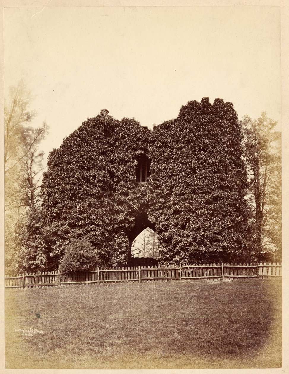 朗德公园（Roundhay Park）的愚蠢景色（相簿打印） 作者 爱德华·沃尔玛德（Edward Wormald）