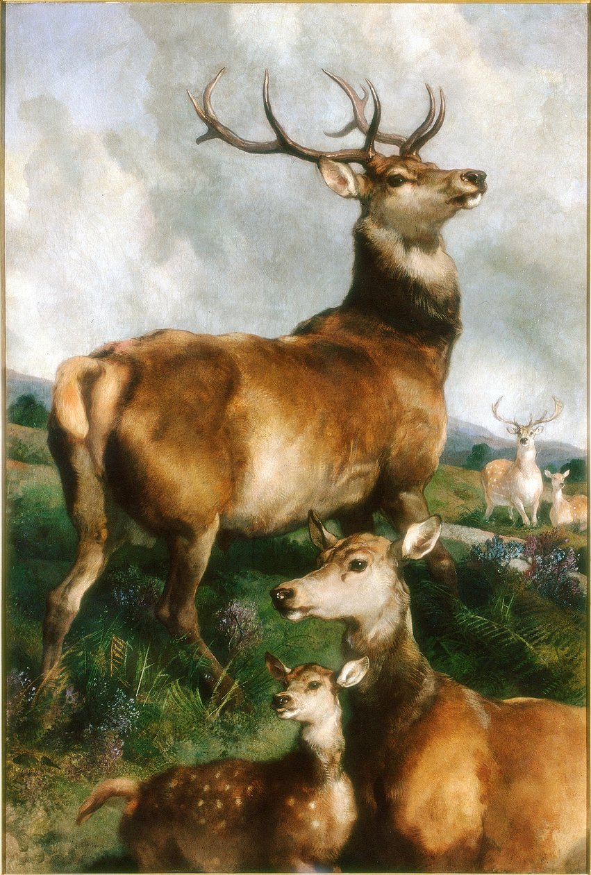 诺森伯兰郡Chillingham公园的鹿，c.1867 作者 埃德温·兰瑟