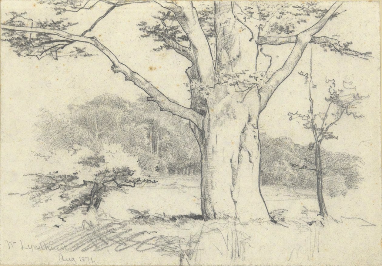 编号：林德赫斯特，1871 年 8 月 作者 埃德温奥斯汀修道院