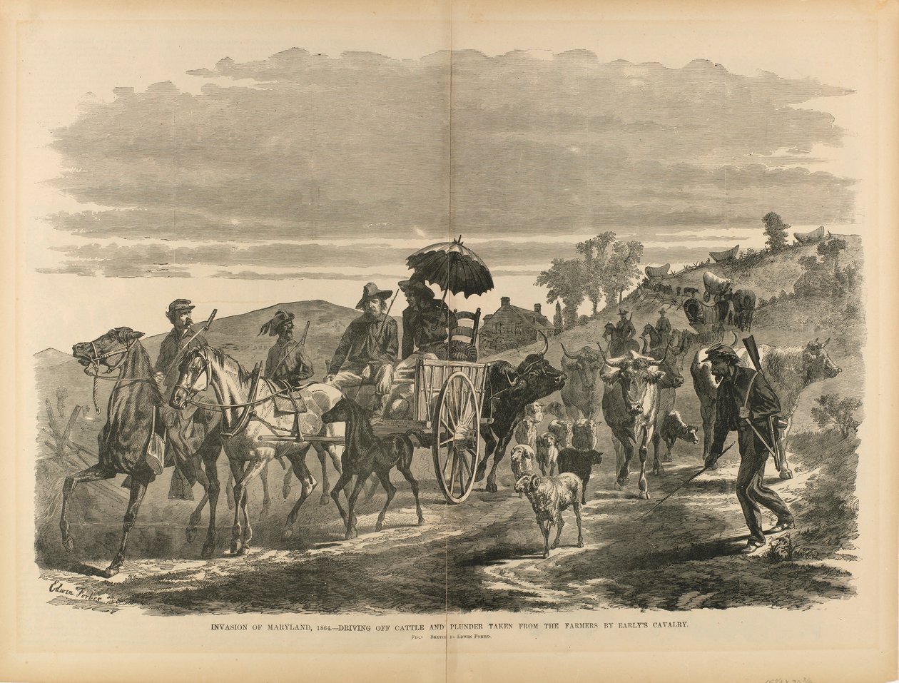 入侵马里兰州，1864 年--厄尔利的骑兵从农民手中抢走牛群和掠夺物，摘自 "我们内战中的士兵"。 作者 埃德温·福布斯