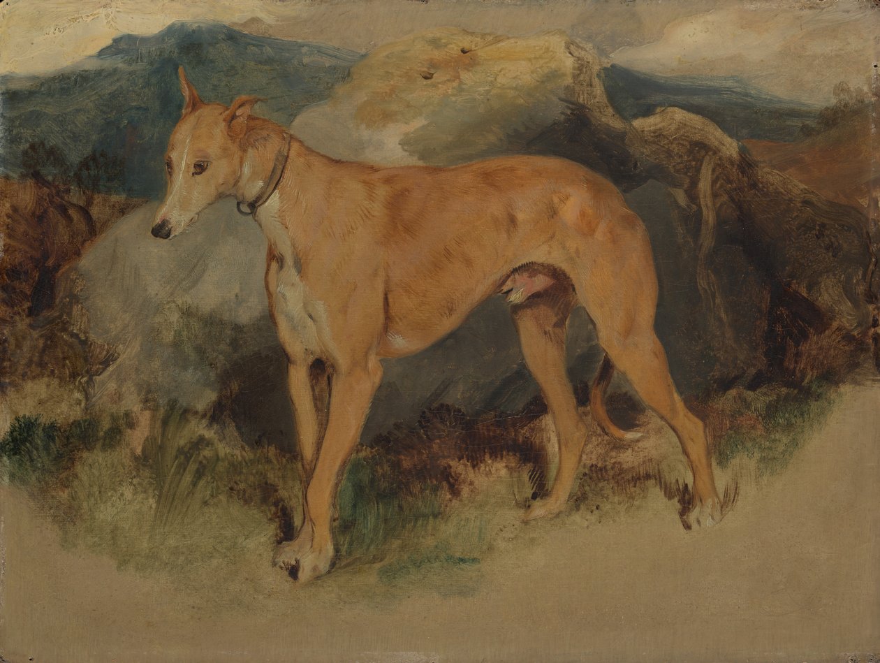 猎鹿犬（Deerhound），1826年。 作者 埃德温·兰瑟