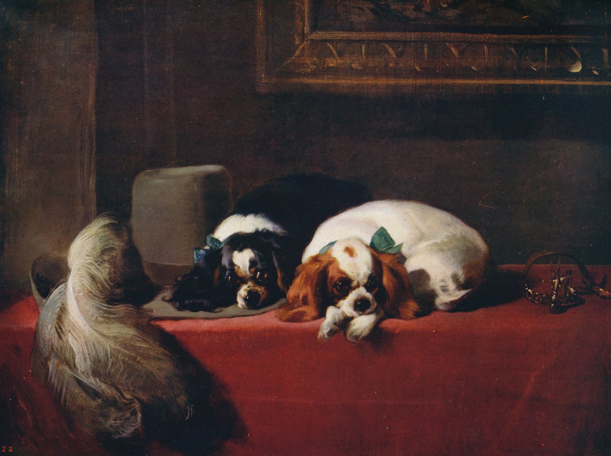 查尔斯国王猎犬宠物队，1845年，c1915年 作者 埃德温·兰瑟