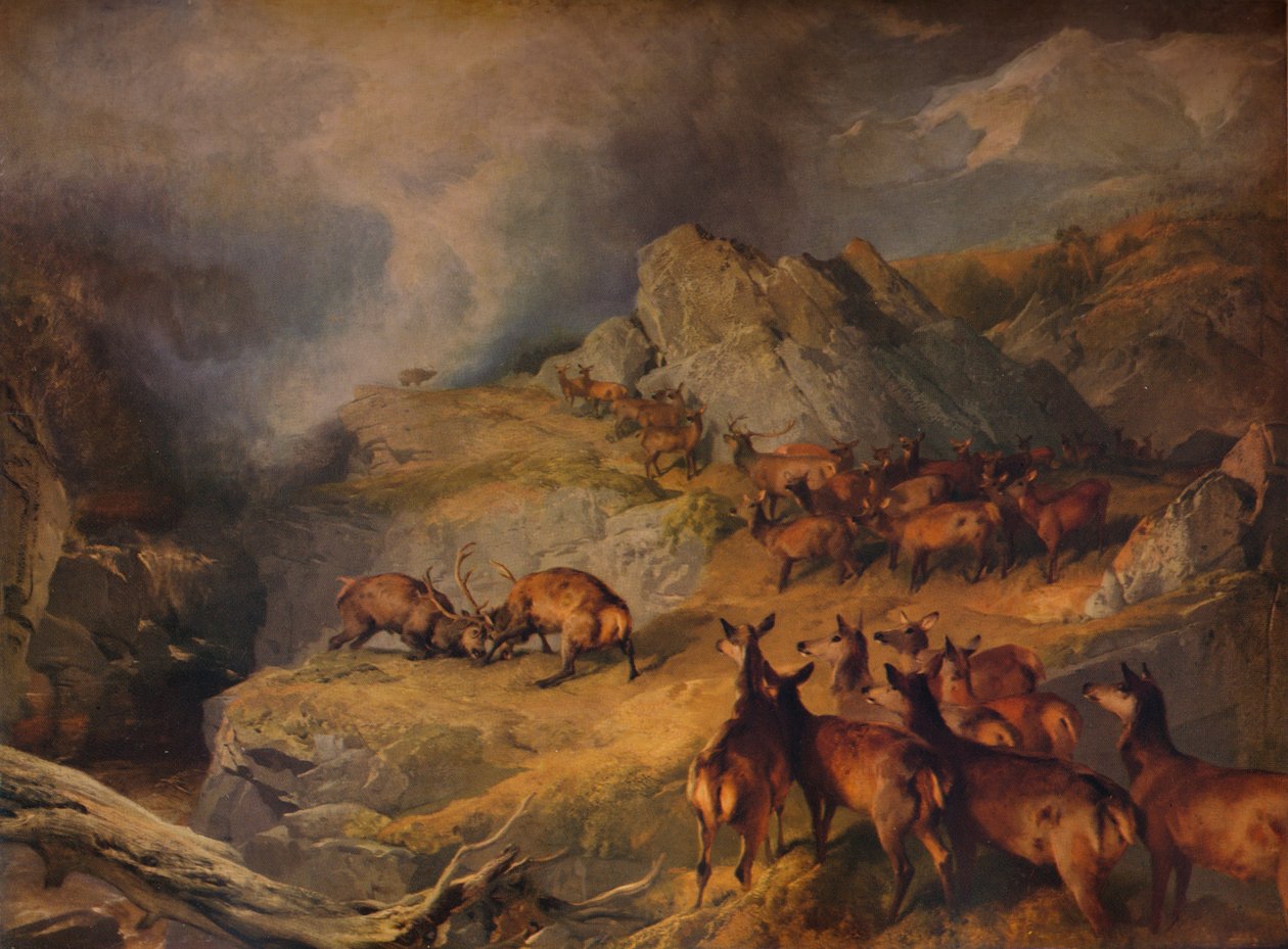 勇者当之无愧，c1854 作者 埃德温·兰瑟