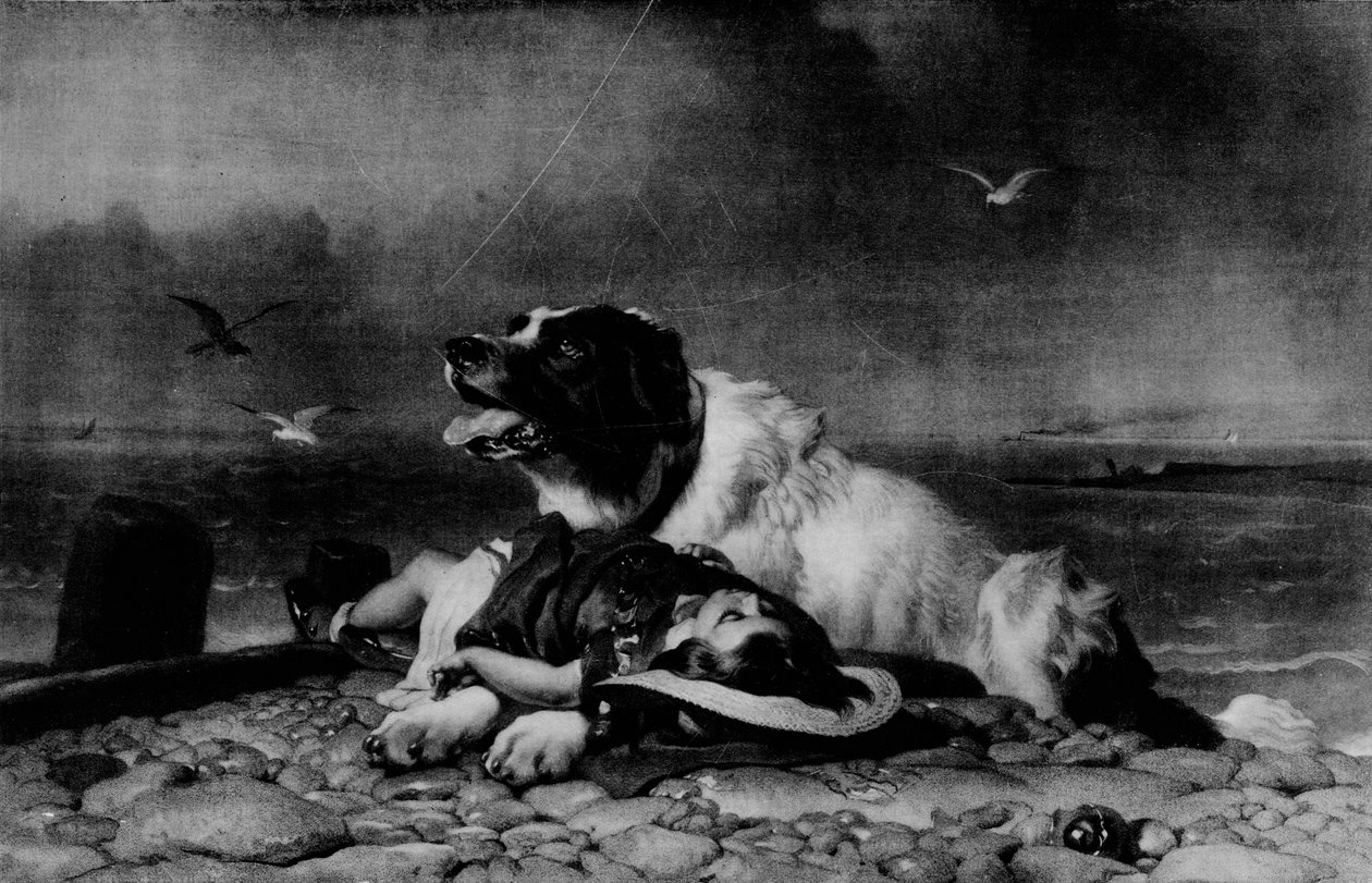 已保存！，c1856，1911年 作者 埃德温·兰瑟