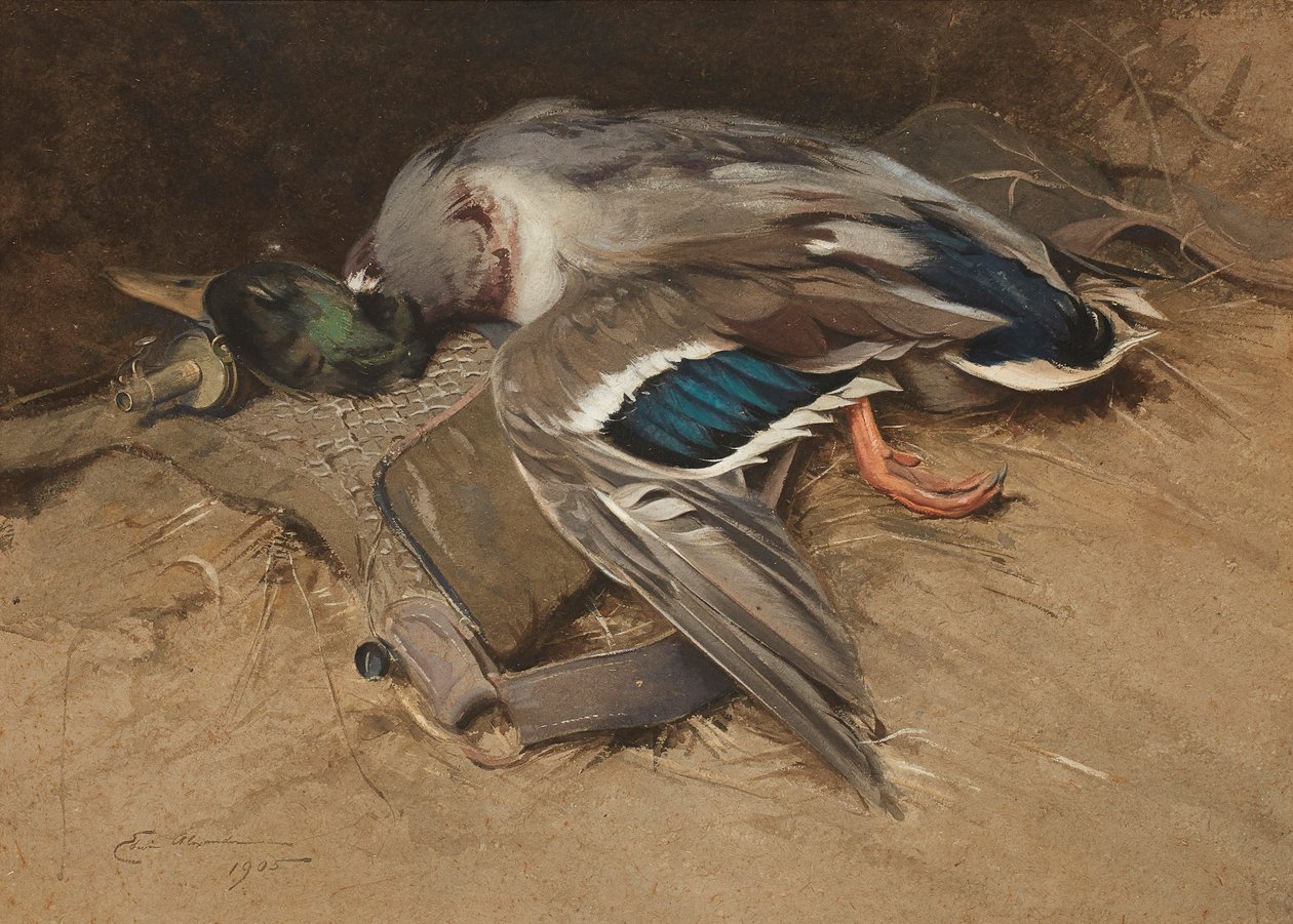 Mallard
