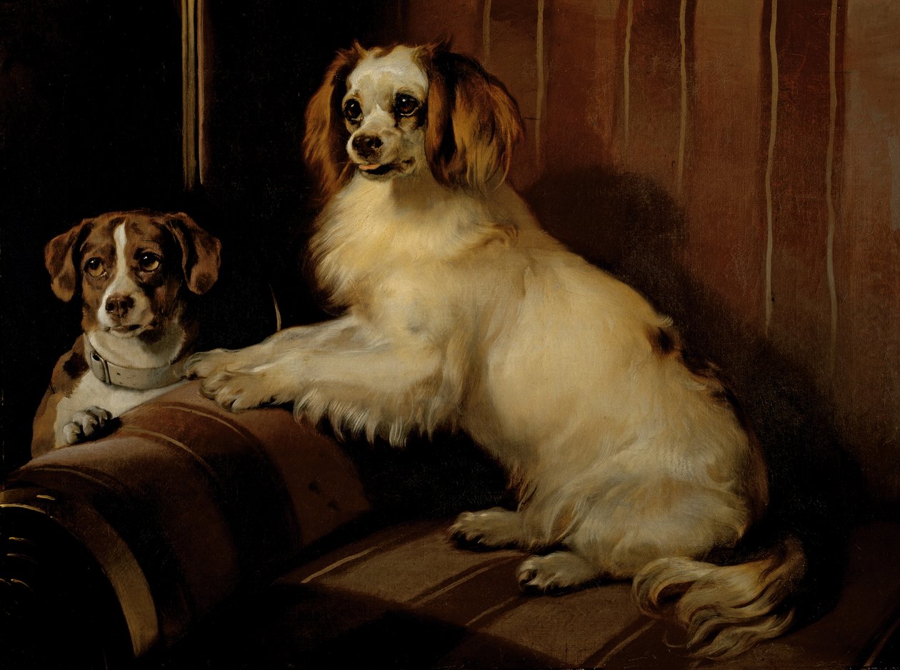 Bon(e)y 和 Var，c.1843（布面油画） 作者 埃德温·兰瑟