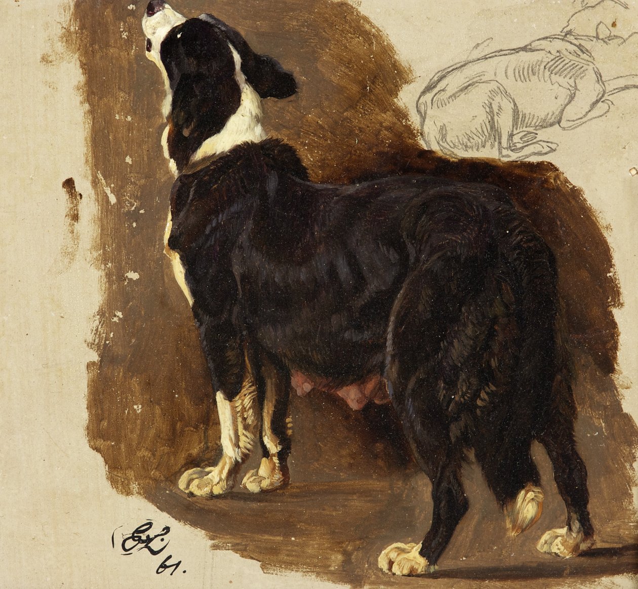 Collie Bitch（卡片上的油和铅笔） 作者 埃德温·兰瑟