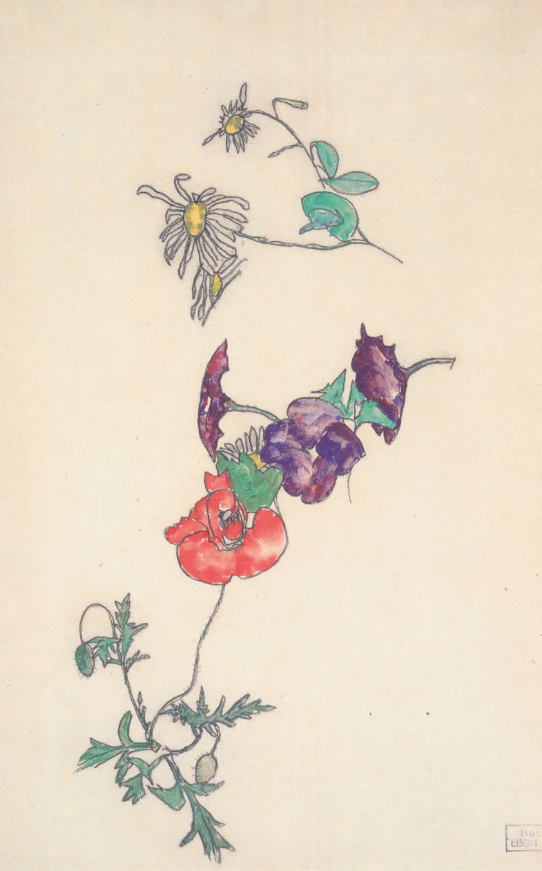 雏菊，蜿蜒和罂粟花 作者 埃贡·席勒（Egon Schiele）