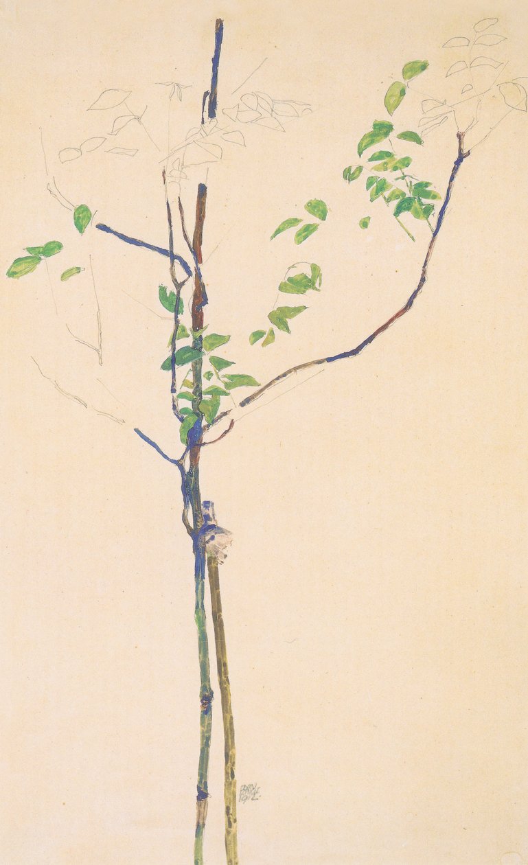 与支柱的幼树 作者 埃贡·席勒（Egon Schiele）