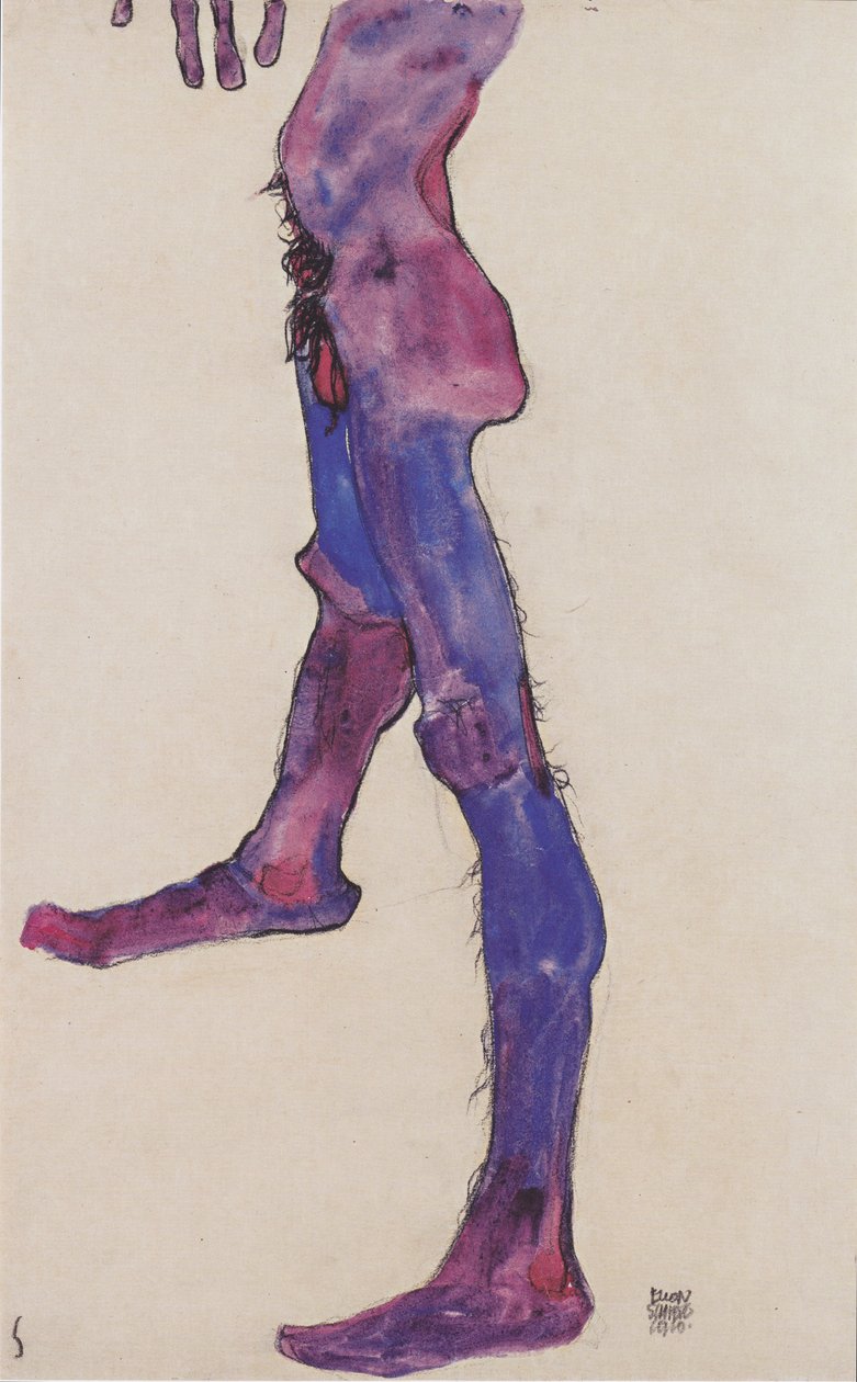 男性腹部躯干 作者 埃贡·席勒（Egon Schiele）