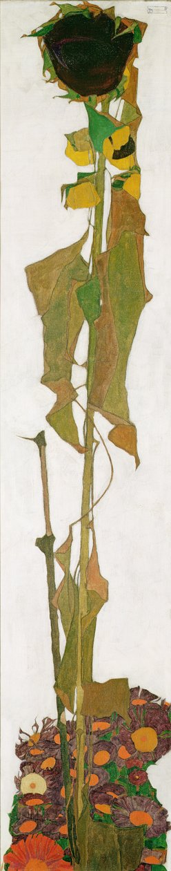 向日葵 作者 埃贡·席勒（Egon Schiele）