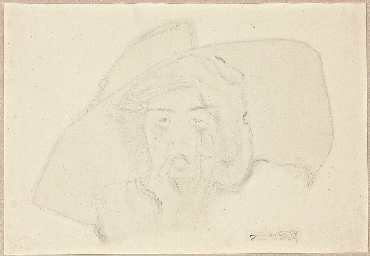 喊着大帽子，下巴用手支撑的年轻女子的头 作者 埃贡·席勒（Egon Schiele）
