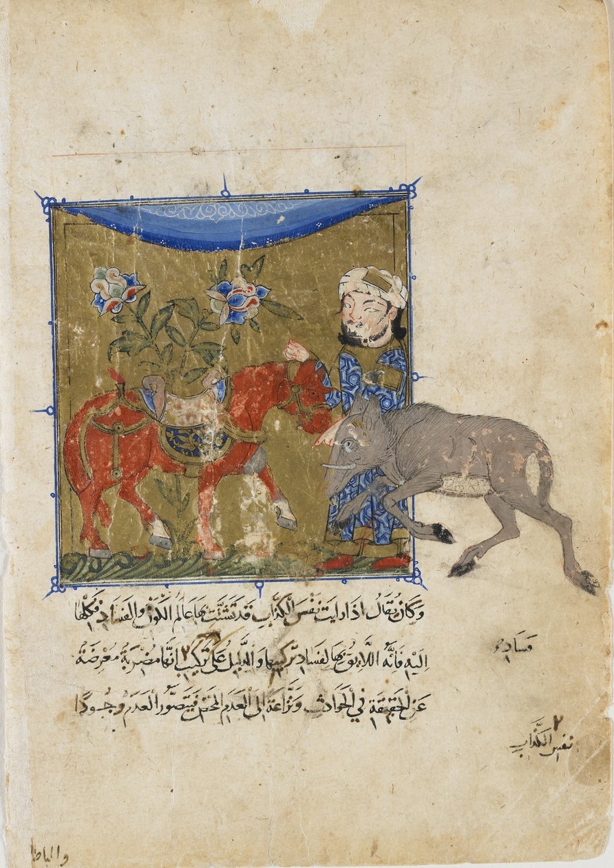 公猪和马，来自Sulwan al-Muta的作品集，由Ibn Zafar，Mamluk王朝，c.1335（不透明的水彩，墨水和纸上的金） 作者 埃及人