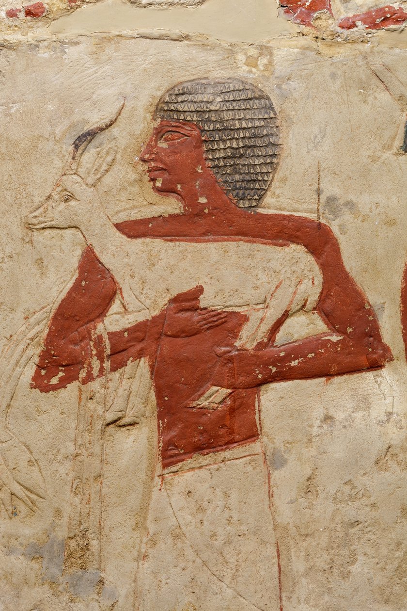 Perneb的Mastaba墓，公元前281-2323（石灰石和油漆） 作者 埃及第五王朝