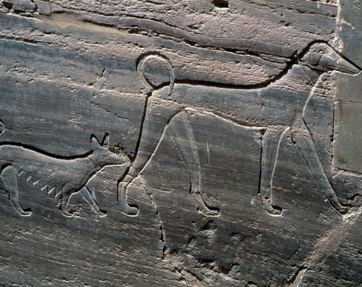 一对狗，入口处的浮雕，萨伦普特二世墓，王子墓，Qubbet el-Hawa，阿斯旺尼罗河西岸，埃及文明，中王国，第十二王朝 作者 埃及第十二王朝