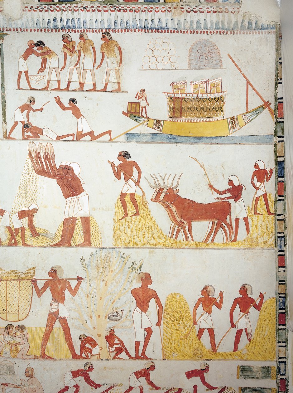 船，以及收割、收集、运输和加工谷物的场景，壁画，南翼，横室，底比斯的Theban Tomb TT69，Sheikh Abd el-Qurna，（联合国教科文组织世界文化遗产名录 作者 埃及第十八王朝