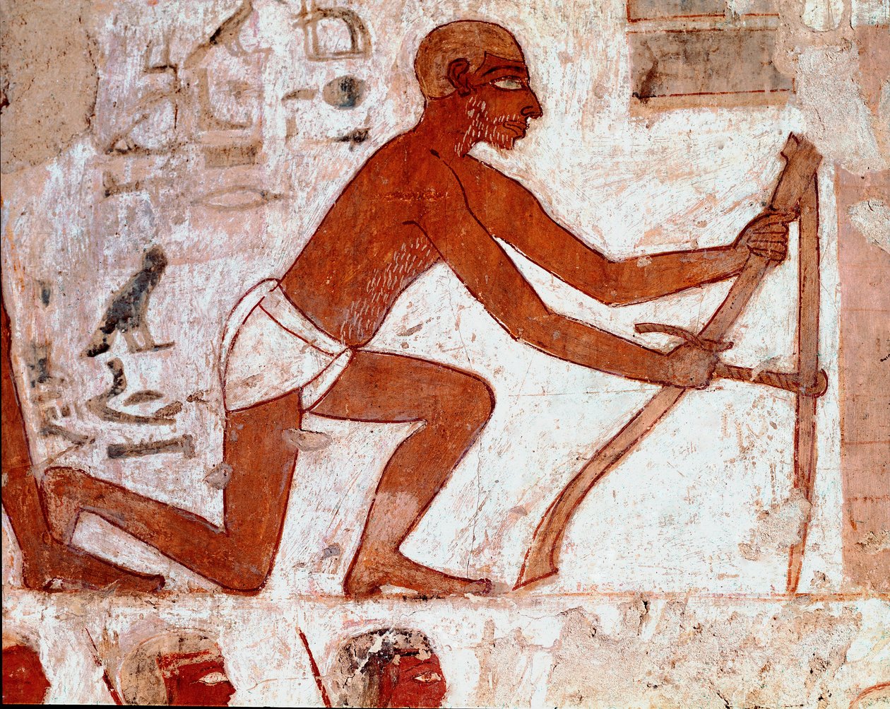 埃及艺术：Rekhmire 墓。 Ploucher 使用他的农具工作。 卢克索壁画（底比斯遗址，Sheikh Abd al-Gournah (Gournah) 墓地，尼罗河左岸，埃及。-古埃及：Rekhmire 墓。农夫与他的农业的工作 作者 埃及第十八王朝