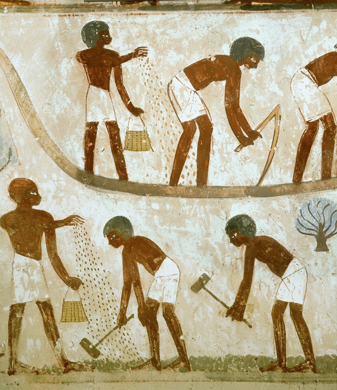  作者 埃及第十八王朝