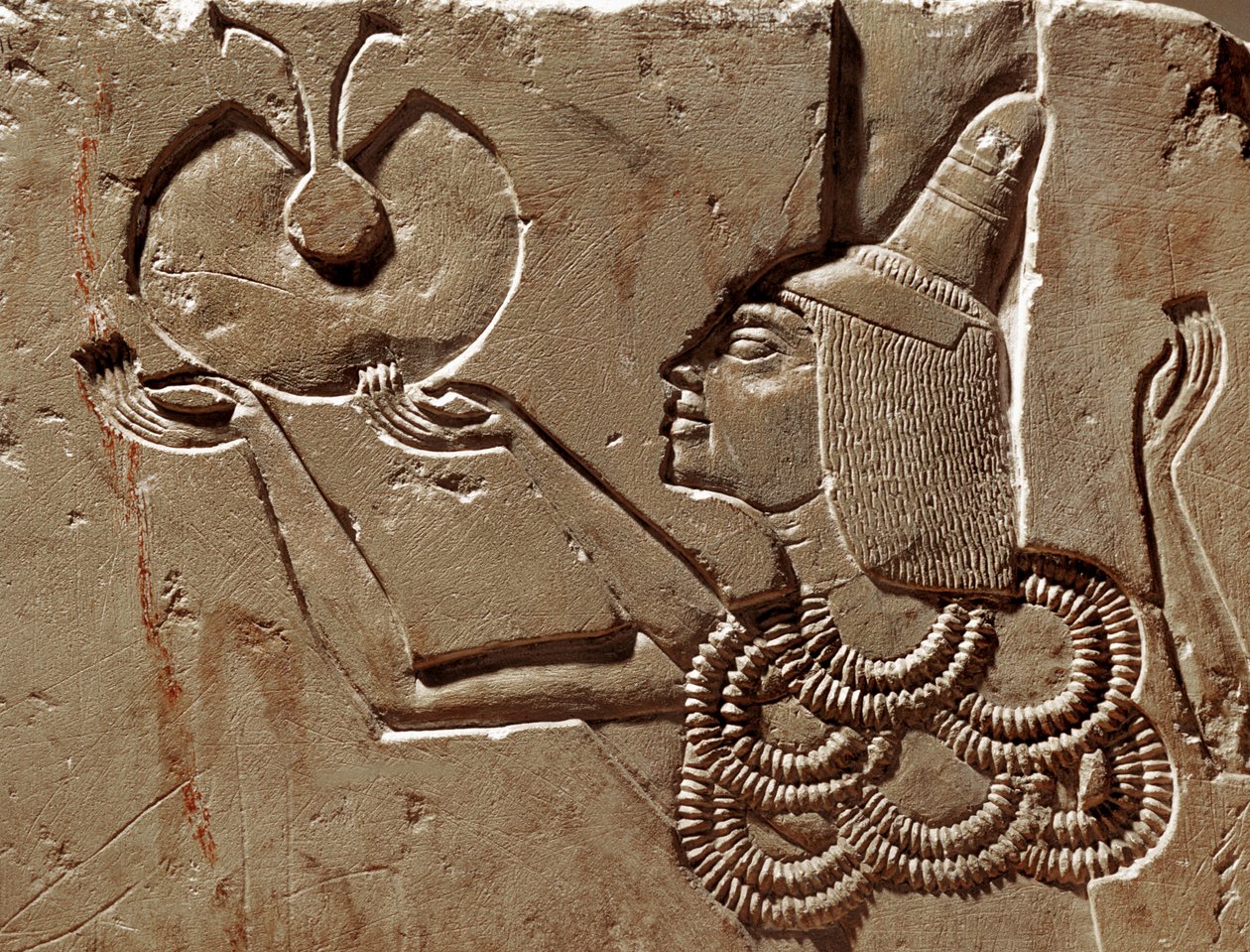  作者 埃及第十八王朝