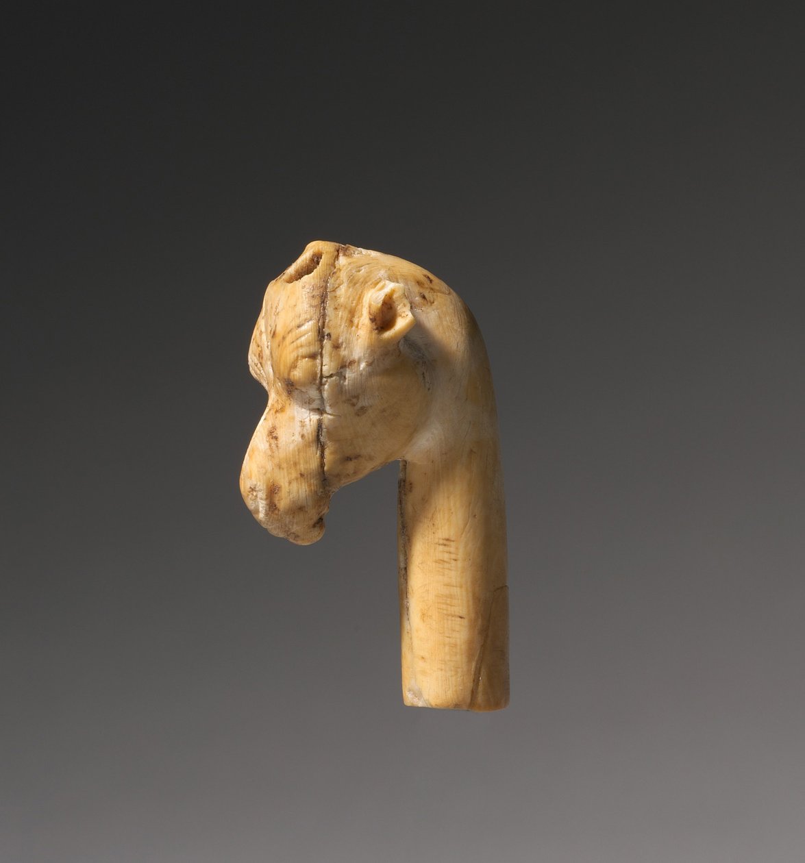长颈鹿头，约前1540-1296年 作者 埃及第十八王朝