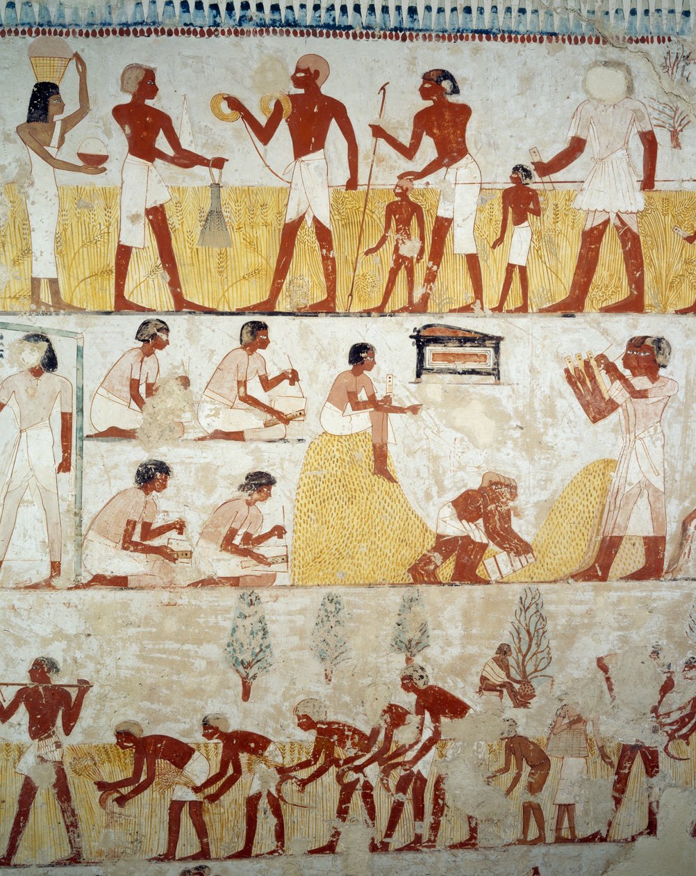 收割庄稼、打谷子和绞谷子，底比斯卢克索Sheikh Abd el Qurnah Necropolis Menna墓前庭壁画的细节（联合国教科文组织世界遗产名录 作者 埃及第十八王朝