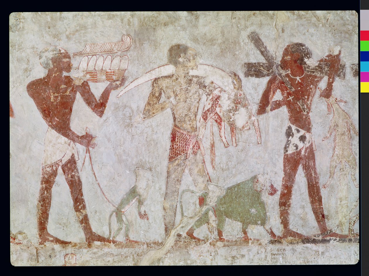 Kushites携带金，象牙和动物皮的贡品，来自Rekhmire墓，Tuthmosis III和Amenhotep II，新王国（壁画） 作者 埃及第十八王朝