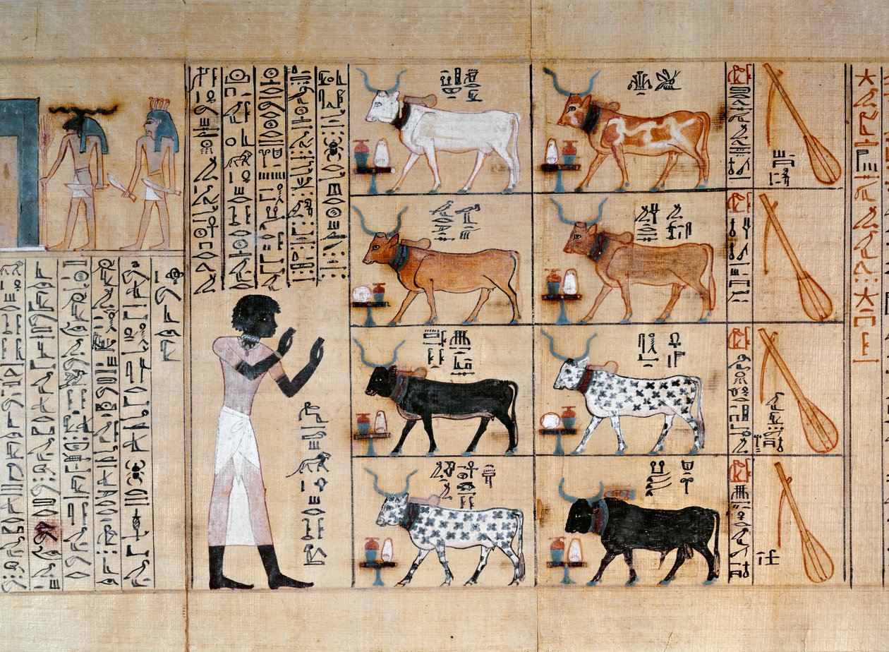 麦赫佩里《死者之书》中描绘牛的纸莎草纸 作者 埃及第十八王朝