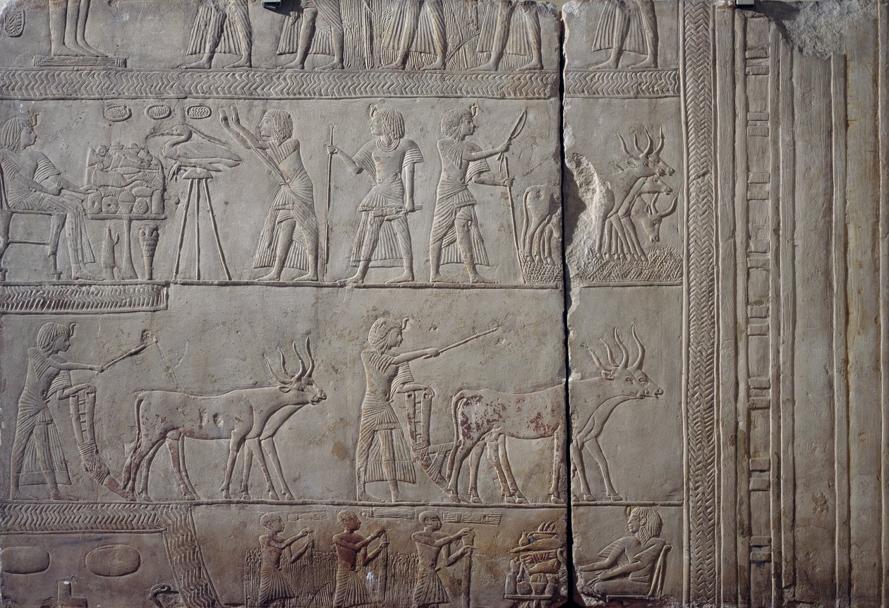 法老 Horemheb，描绘他在 Iaru 的田地里干农活时，接受农民献上的收获，石灰石墙面浮雕，出自萨卡拉的 Memphite Tomb of Horemheb 陵墓，埃及文明，新王国，第十八王朝 作者 埃及第十八王朝