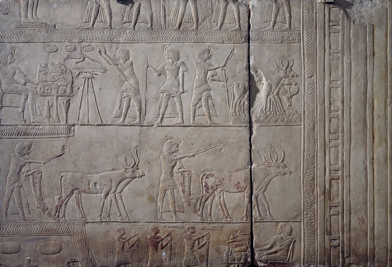 法老 Horemheb，描绘他在 Iaru 的田地里干农活时，接受农民献上的收获，石灰石墙面浮雕，出自萨卡拉的 Memphite Tomb of Horemheb 陵墓，埃及文明，新王国，第十八王朝 作者 埃及第十八王朝