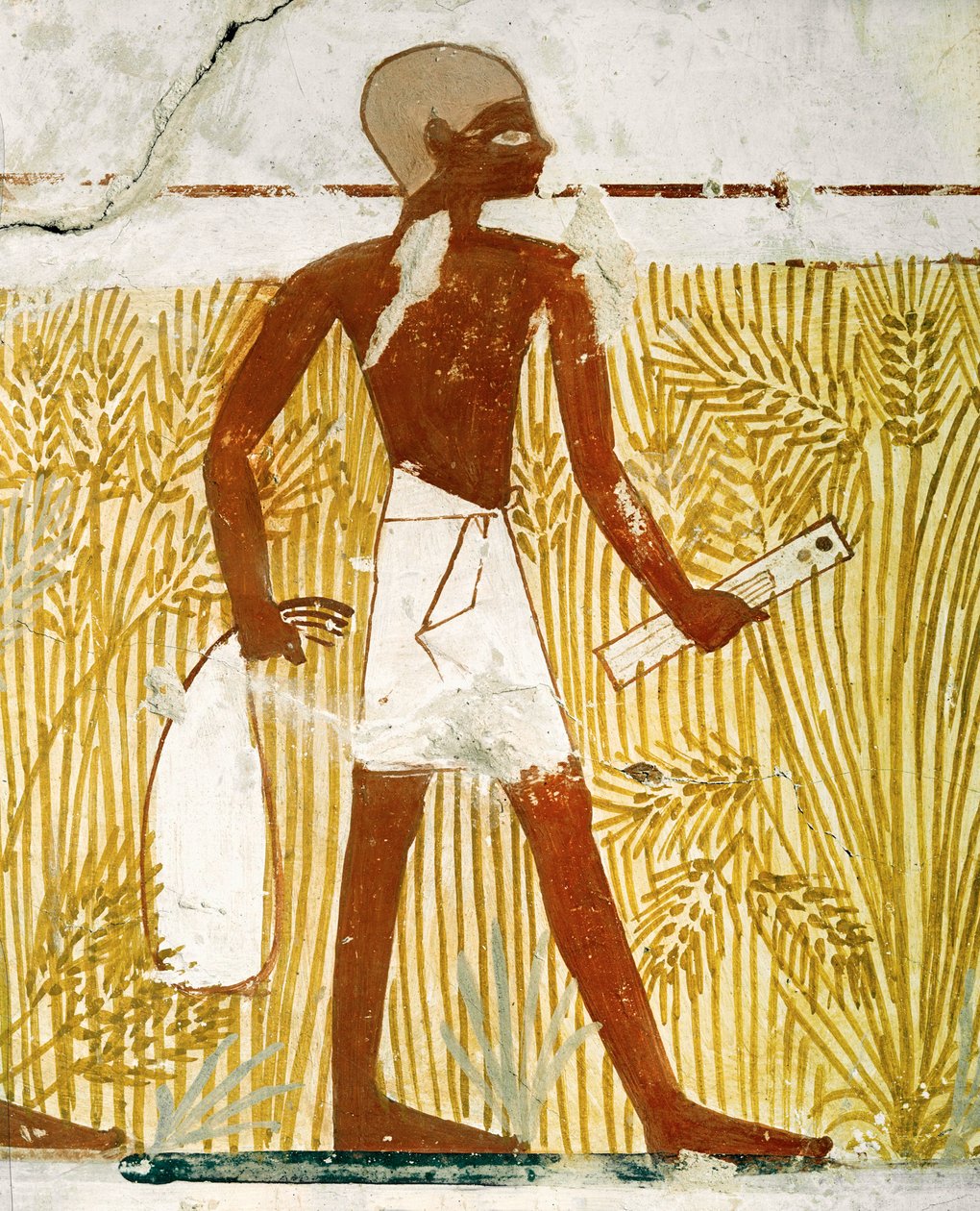  作者 埃及第十八王朝