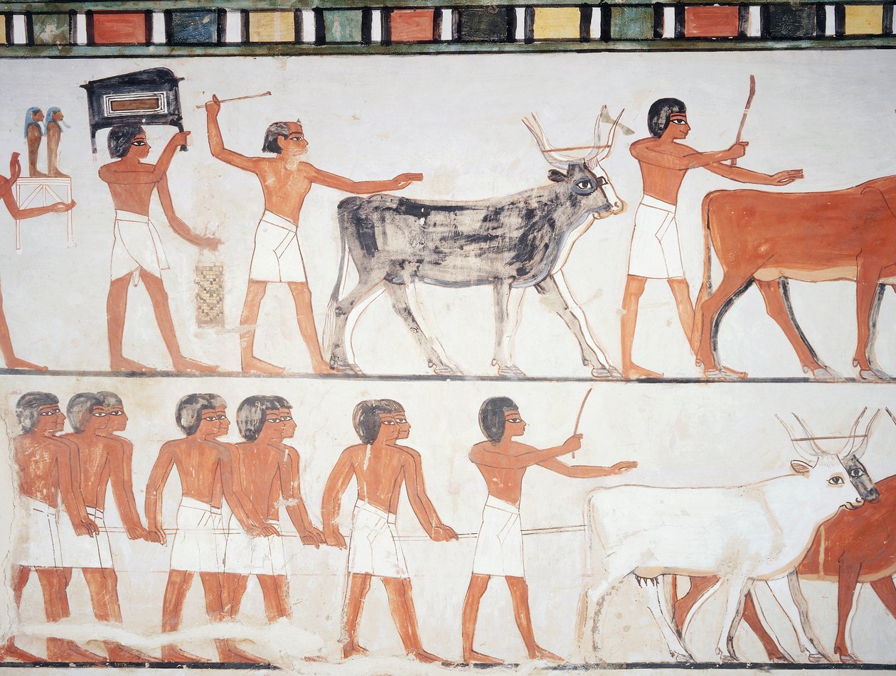 牧羊人和牛，壁画，南墙，纵室，底比斯 TT69 号古墓，Sheikh Abd el-Qurna（联合国教科文组织世界遗产名录 作者 埃及第十八王朝