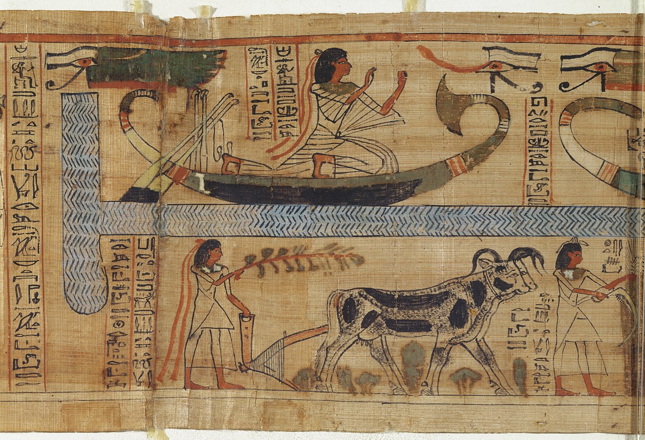 祭司Aha-Mer的死亡之书的细节描绘了一个三重中间期（纸莎草纸）和一个农场 作者 埃及第21王朝
