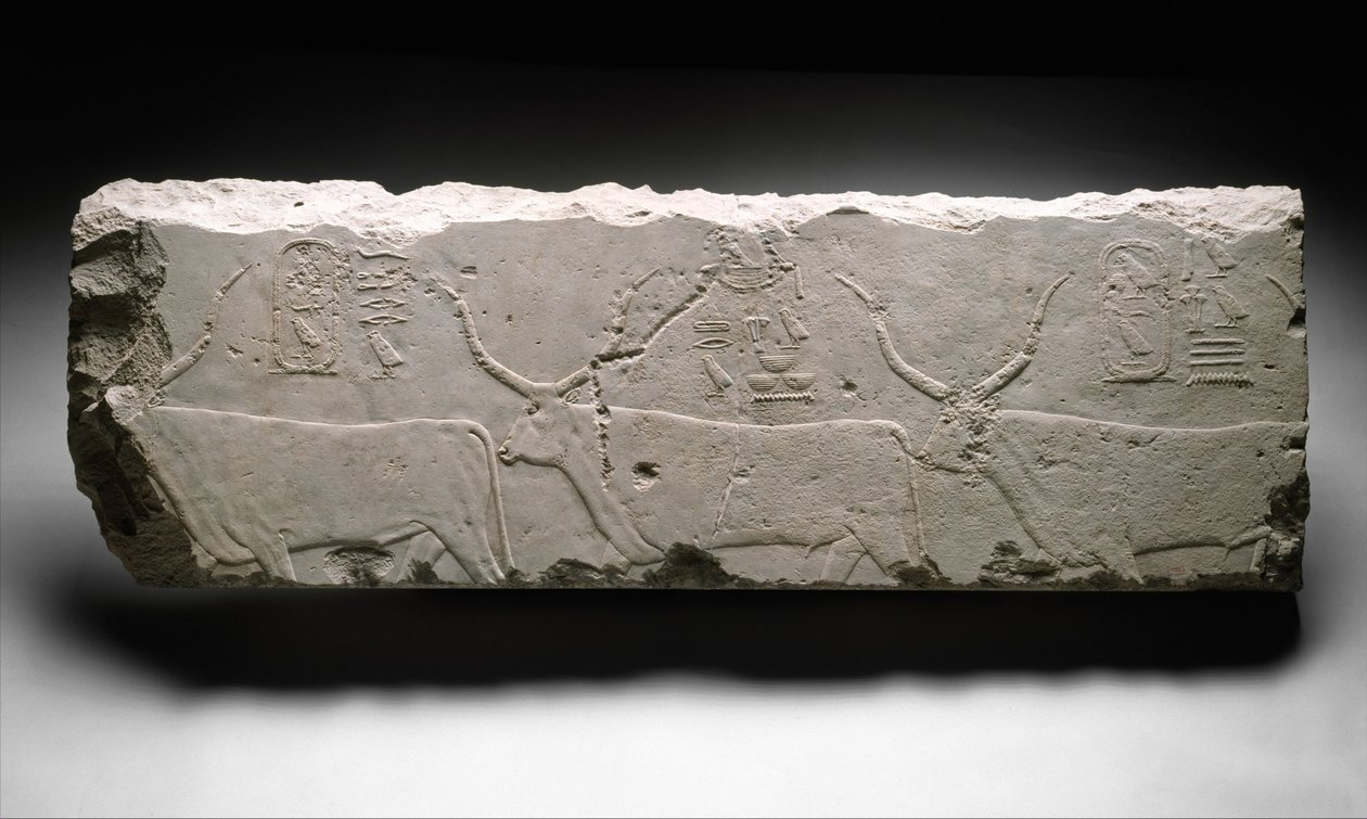 与Khufus牛国王的救济片段，c.2535（石灰石） 作者 埃及第四王朝