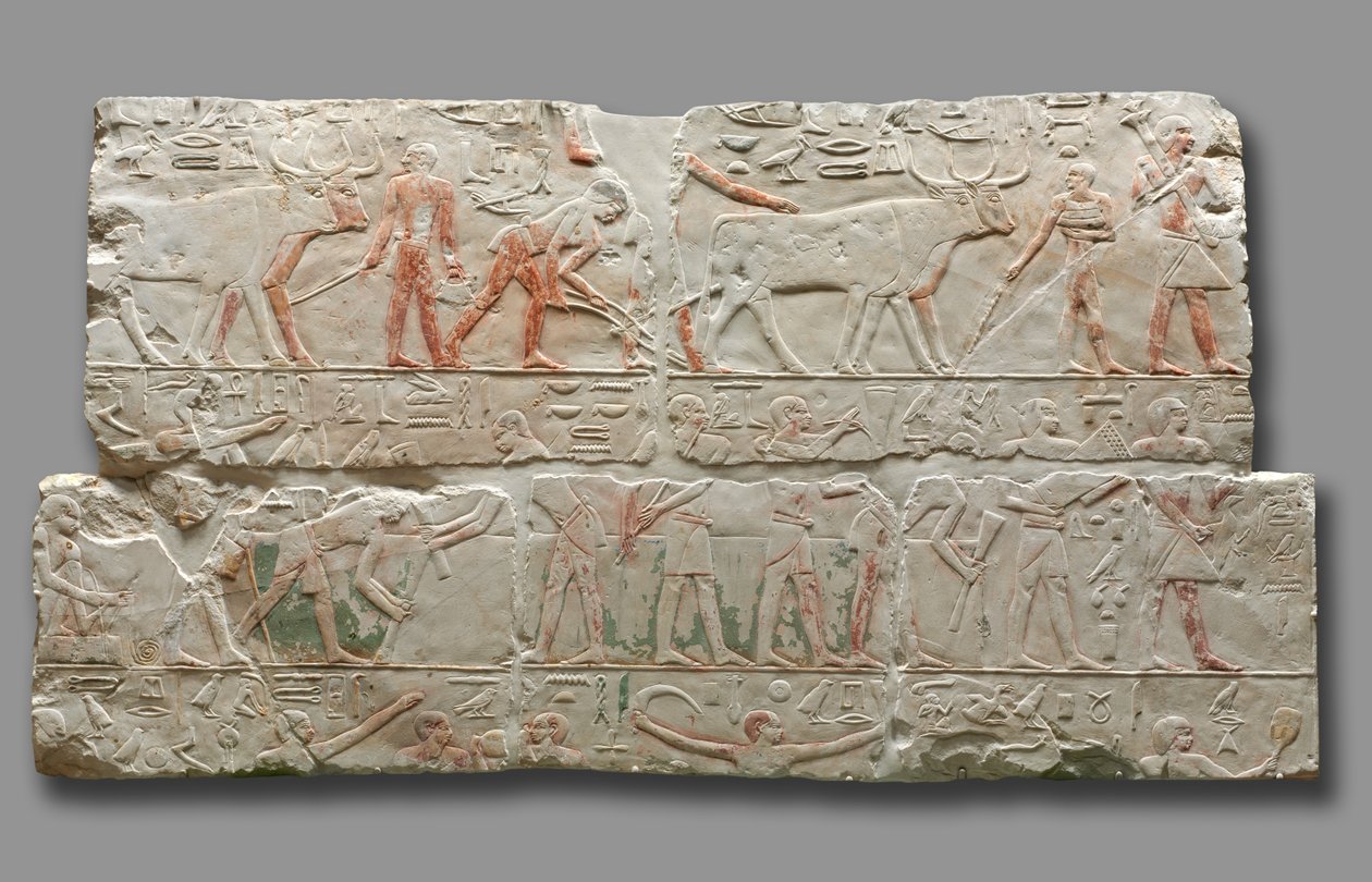 萨加拉（Saqqara）的农业风光图，约2311-2281年 作者 埃及第六王朝