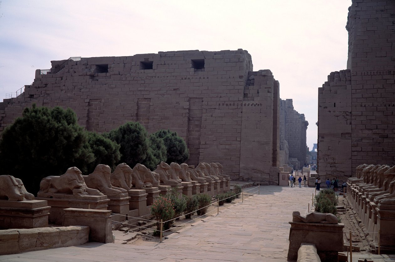 埃及古物：埃及卢克索卡纳克的狮身人面像(Sphinx at the head of beliers)的巷子(dromos) 作者 埃及人埃及人